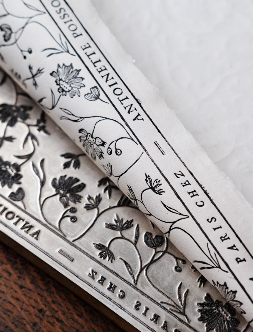 Domino paper "Petite Indienne"
