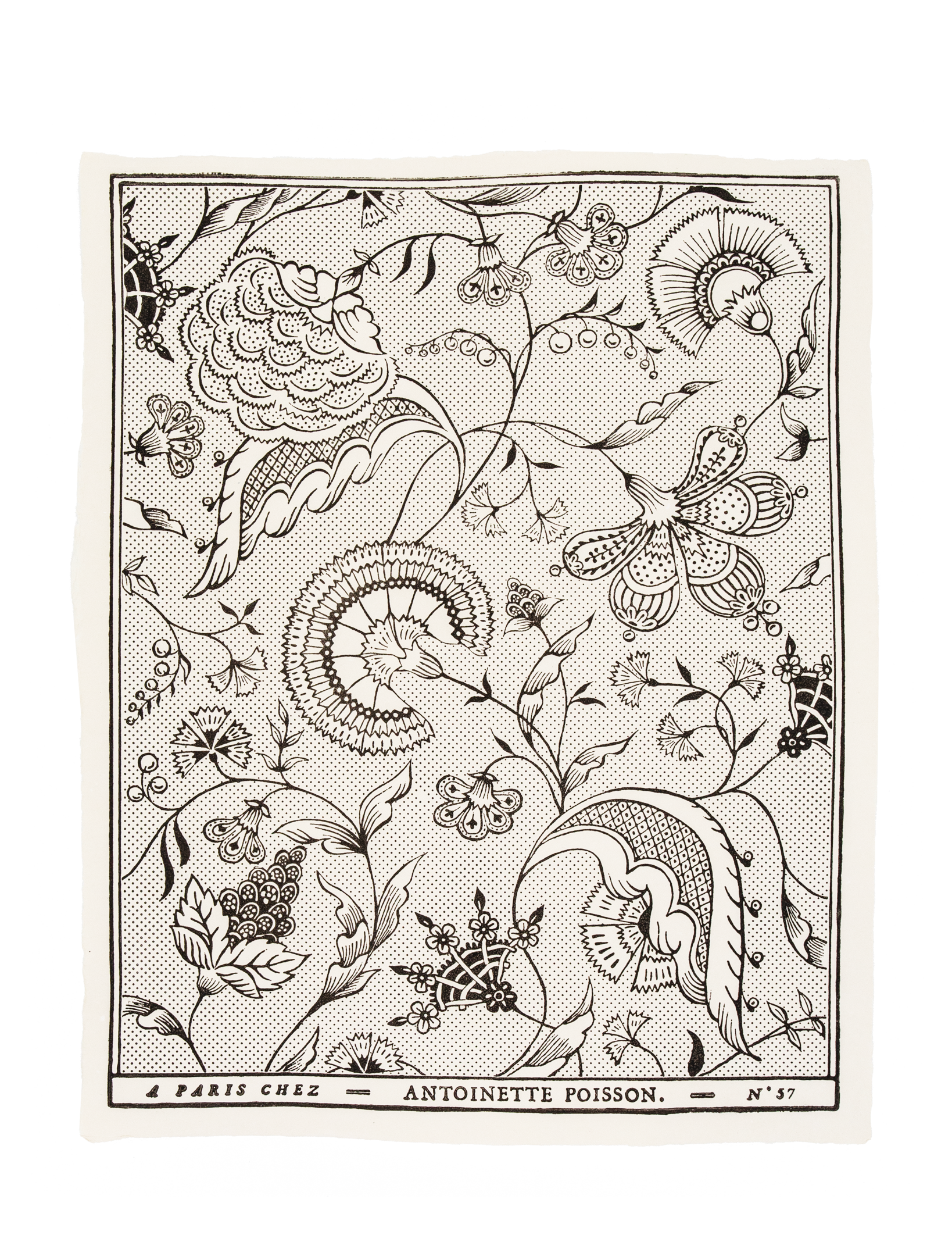 Domino paper "Jaipur"