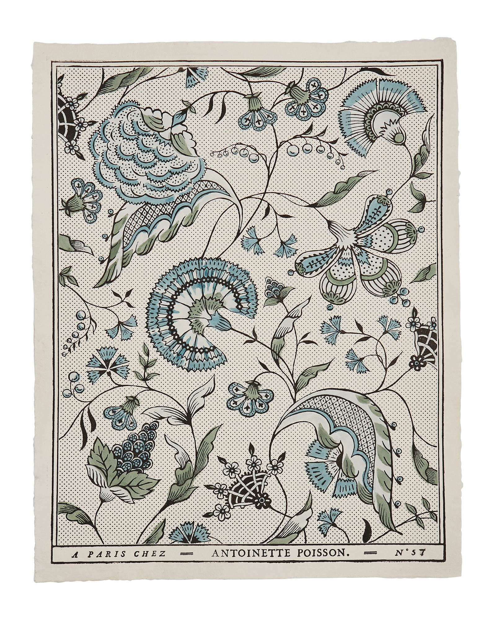 Domino paper "Jaipur"