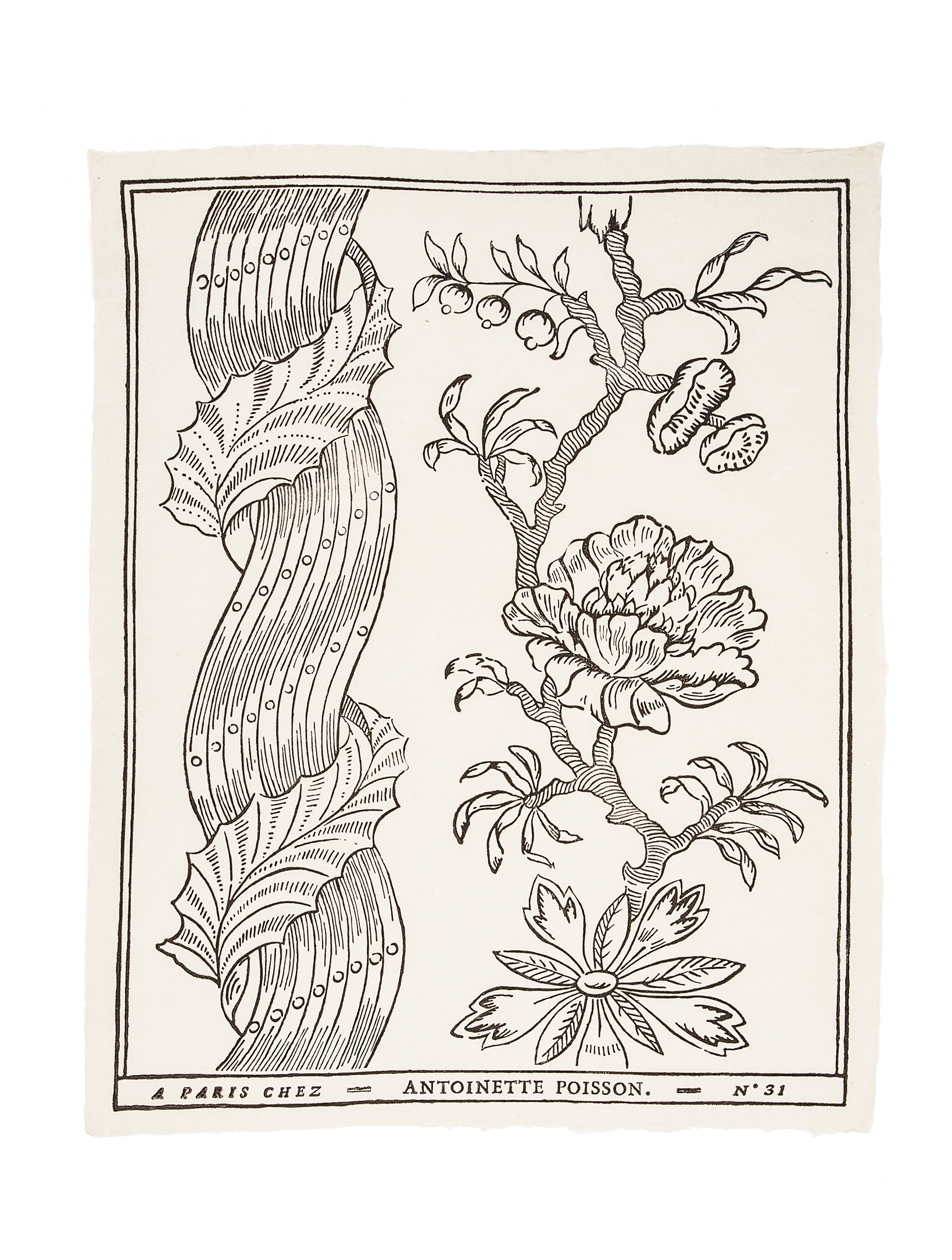 Papier dominoté "Colonnes"